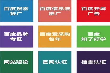 SEM竞价代运营公司成功案例：如何提升广告转化率